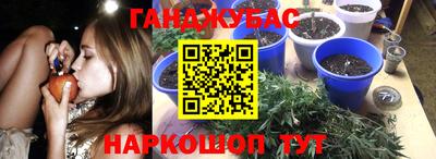молекула духа Северобайкальск