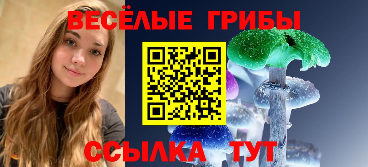 Псилоцибиновые грибы мухоморы  Псилоцибиновые грибы мухоморы  Самара  Вход с VPN 