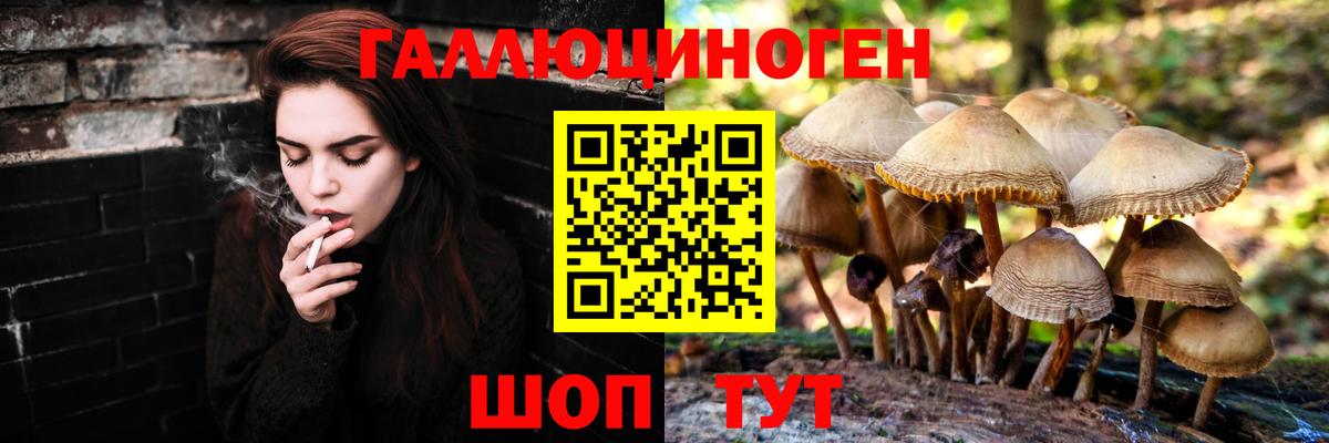 Галлюциногенные грибы Cubensis Самара